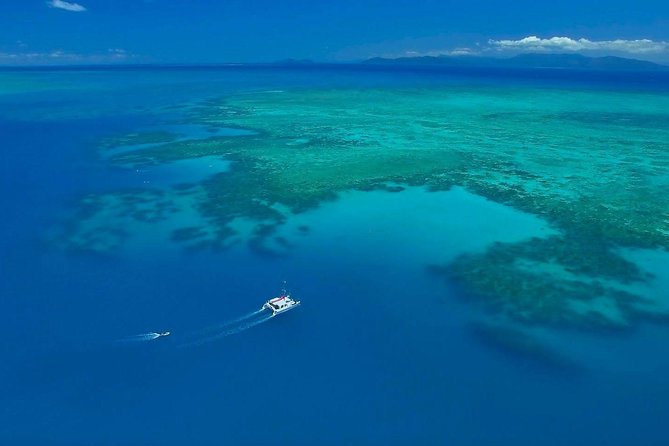 Full-Day Great Barrier Reef Sailing Trip from Cairns - Two reef stops, real time in the water: what your day actually feels like