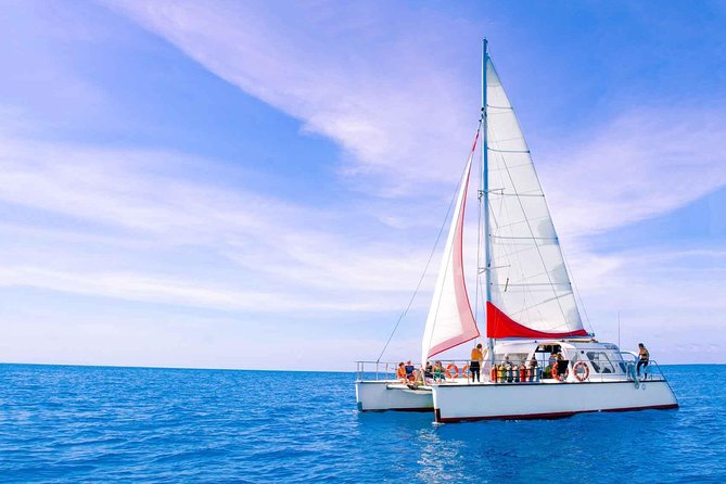 Full-Day Great Barrier Reef Sailing Trip from Cairns - Food on board: buffet lunch, morning tea, and snack breaks that make the day easier