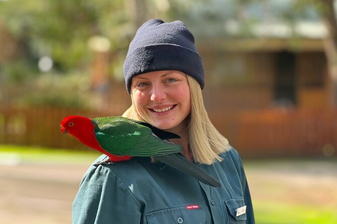Full-Day Great Ocean Road and 12 Apostles Sunset Tour from Melbourne - What Kind of Traveler This Suits Best