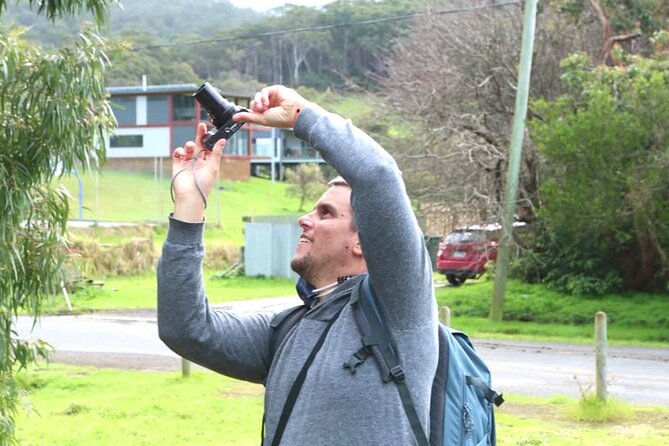 Full-Day Great Ocean Road and 12 Apostles Sunset Tour from Melbourne - Anglesea, Memorial Archway, and Kennett River: Quick Stops With Big Payoff