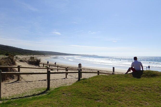 Full-Day Great Ocean Road and 12 Apostles Tour - A 7:00 am start, and how the schedule feels in real life