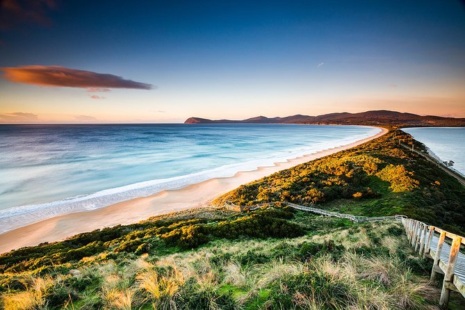 Full-Day Guided Bruny Island Tour from Hobart - Key takeaways before you go