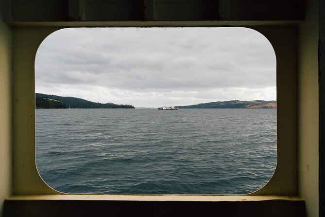 Full-Day Guided Bruny Island Tour from Hobart - Temperate rainforest at Mavista, plus what to do if you prefer an easier walk