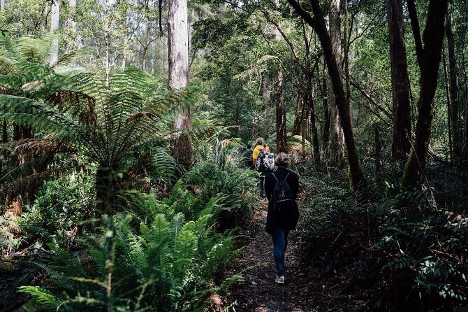 Full-Day Guided Bruny Island Tour from Hobart - Wildlife expectations: what you can count on, and what you can’t