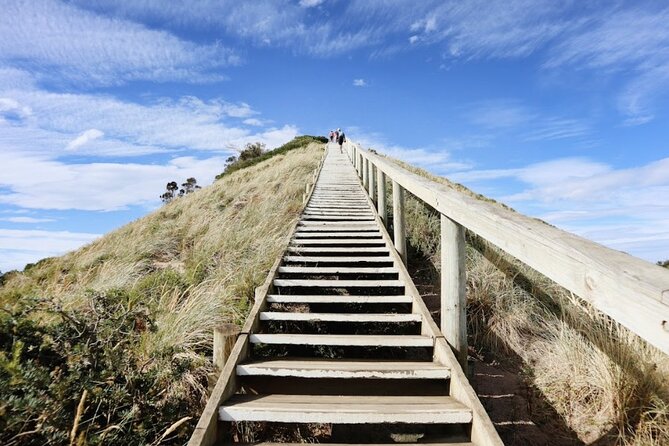 Full-Day Guided Bruny Island Tour from Hobart - Price and value at $129.10, with what you pay for and what you don’t