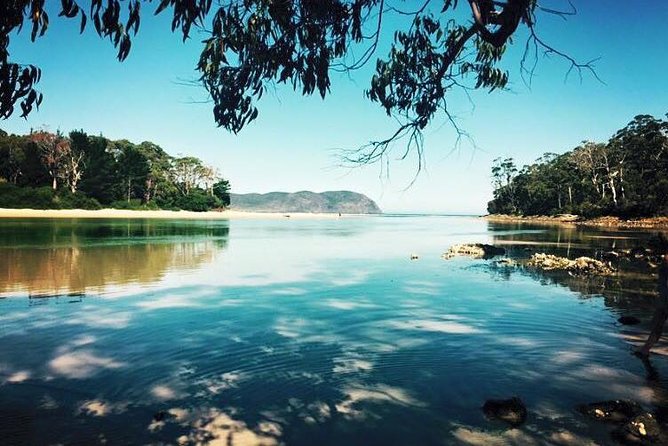 Full-Day Guided Bruny Island Tour from Hobart - Ferry ride with live commentary, so the island makes sense fast