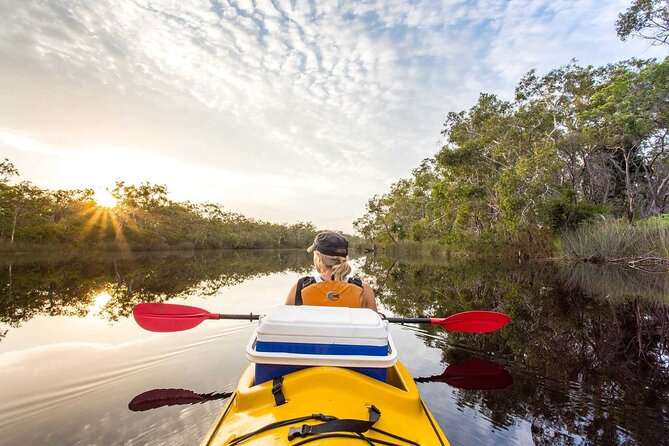 Full-Day Guided Noosa Everglades Kayak Tour - Key highlights worth planning for