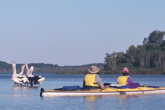 Full-Day Guided Noosa Everglades Kayak Tour - Noosa Everglades: one of the world’s rare wetland places