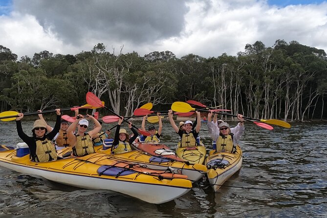 Full-Day Guided Noosa Everglades Kayak Tour - Paddling the Upper Noosa River, River of Mirrors, and the main lakes