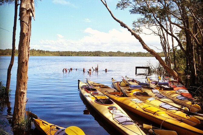 Full-Day Guided Noosa Everglades Kayak Tour - That swim break in crystalline water