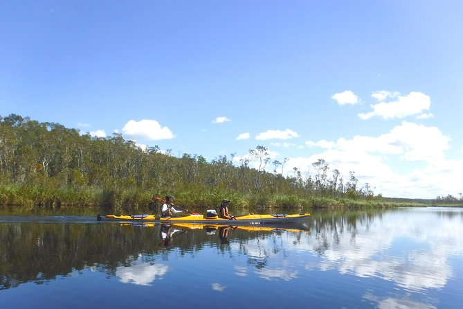 Full-Day Guided Noosa Everglades Kayak Tour - What to pack for a wet, sunny, or rainy day