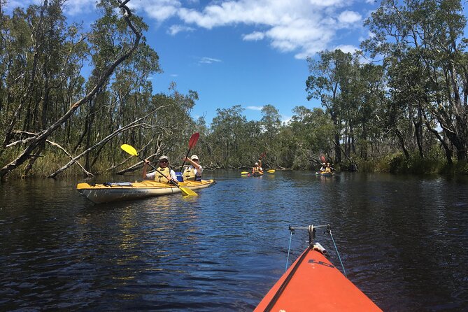 Full-Day Guided Noosa Everglades Kayak Tour - Price, small-group value, and booking timing
