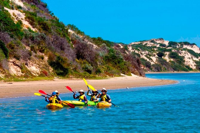 Full Day Kayaking Tour in Coorong National Park - Key things you should know before you go
