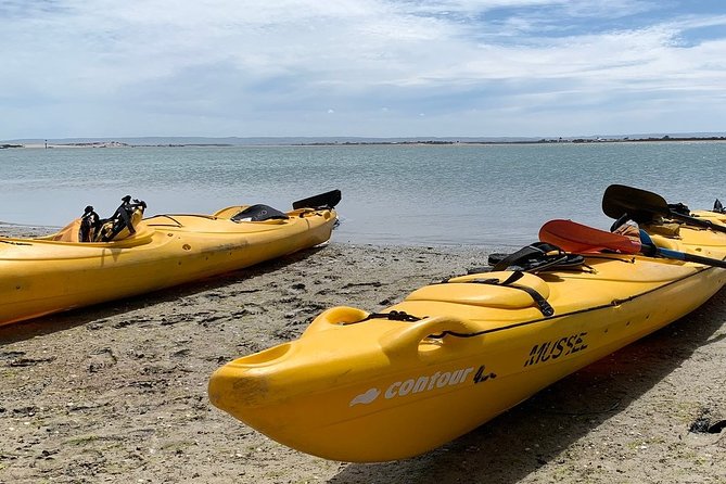 Full Day Kayaking Tour in Coorong National Park - Young Husband Peninsula sand dunes and the walk to the Southern Ocean