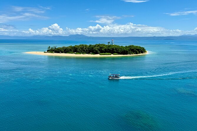 Full Day Low Isles Sailing & Snorkelling Cruise from Port Douglas - The Reef Views: Glass-Bottom Plus Real Marine Talk