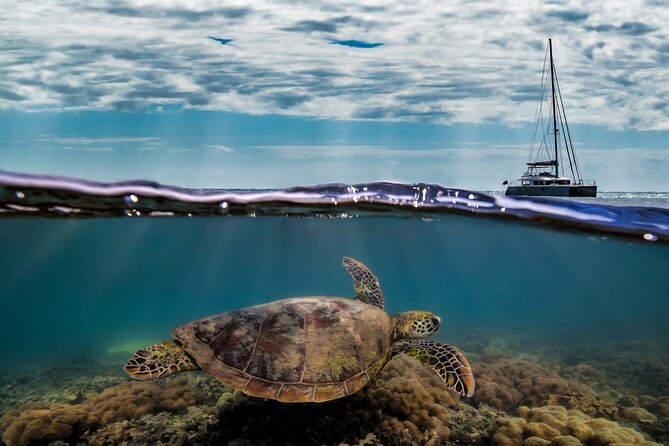 Full Day Low Isles Sailing & Snorkelling Cruise from Port Douglas - Weather, Wind, and What to Pack for Comfort