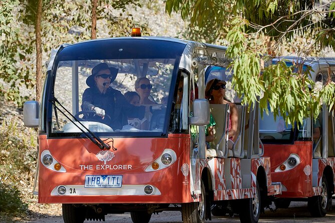 Full-Day Penguins and Wildlife Nature Experience from Melbourne - Penguin Parade on Phillip Island: how to get the best general-admission view