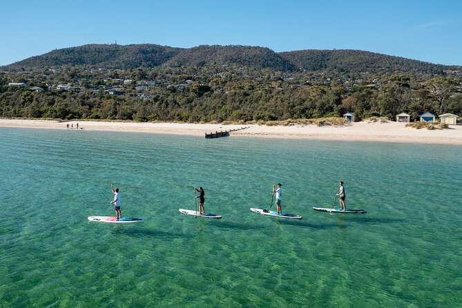Full-Day Penguins and Wildlife Nature Experience from Melbourne - Timing and comfort: when the day feels full (and how to handle it)