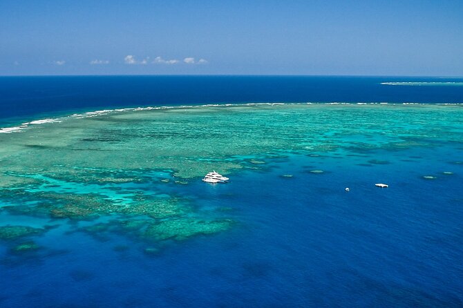 Full Day Reef Cruise and 10 Minute Helicopter Scenic Flight - Your Snorkeling and Scuba Options, and How to Choose the Right Pace