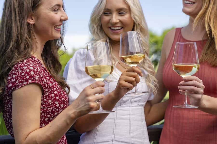 Full-Day Swan Valley Wineries with Lunch and River Cruise - Key highlights at a glance