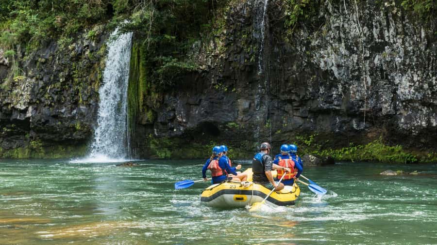 Full Day White Water Rafting From Cairns or Mission Beach - Tully River rafting through World Heritage rainforest country