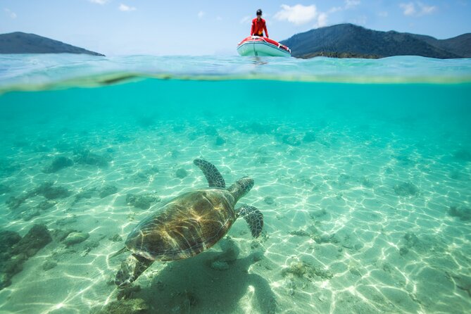 Full-Day Whitsunday Sail and Snorkel Adventure with Lunch - What’s included, and what you should bring for value