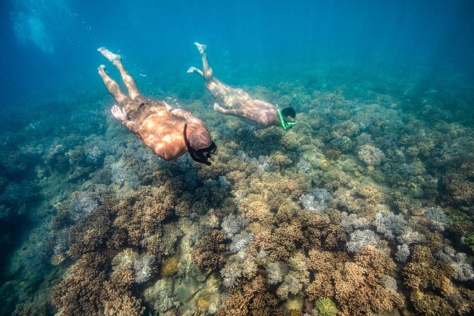 Full-Day Whitsunday Sail and Snorkel Adventure with Lunch - Price and value: why $142.73 can make sense