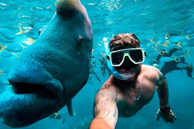 Full-Day Whitsunday Sail and Snorkel Adventure with Lunch - Should you book this Langford Island sail and snorkel day?