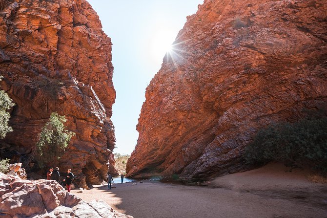 Full Uluru Base Walk at Sunrise Including breakfast - Price and park entry: where the real value is