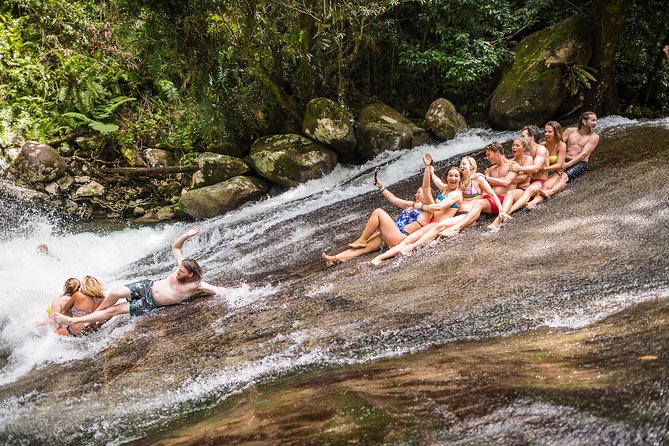 Fun, Falls and Forests Day Trip from Cairns - Key Highlights You Will Feel Immediately