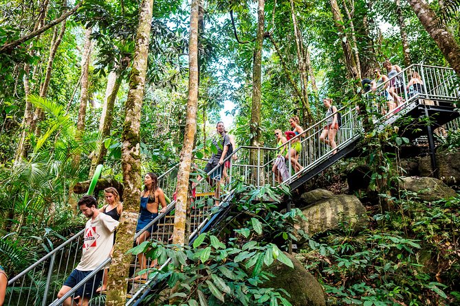 Fun, Falls and Forests Day Trip from Cairns - Josephine Falls and Falls Teahouse: Three-Stage Water and a Swimming Hole