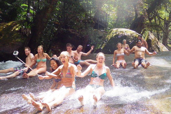 Fun, Falls and Forests Day Trip from Cairns - The Food Plan: Two-Course Hot Lunch, Morning Tea, and Real Fuel