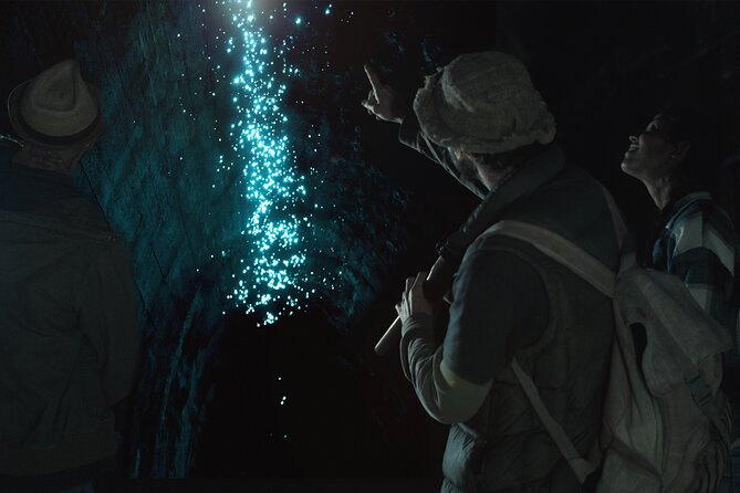 Glow-worms, Waterfalls & Rainforest Experience - Key Highlights You Actually Feel