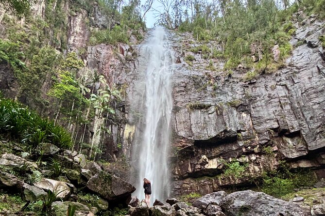 Glow-worms, Waterfalls & Rainforest Experience - Nightcap National Park: The Gondwana Rainforest Connection