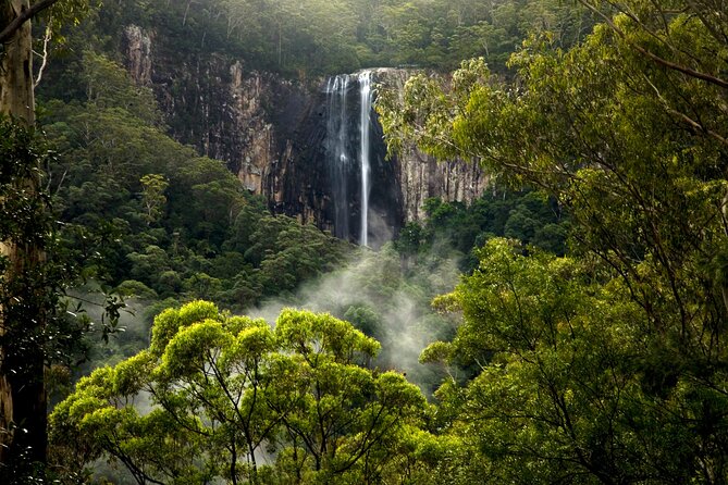 Glow-worms, Waterfalls & Rainforest Experience - When It Might Not Hit The Mark