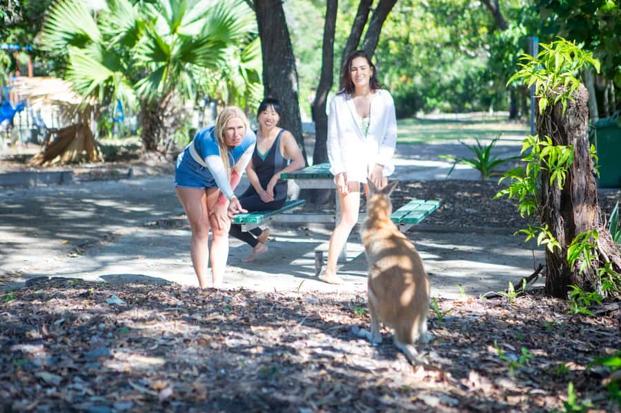 Gold Coast: 1.5-Hour Jet Ski Safari to Stradbroke Island - From the Gold Coast waterways to South Stradbroke: the route vibe