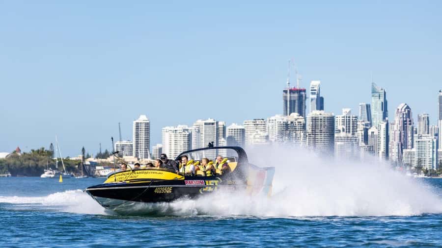 Gold Coast: 1-Hour Extreme Jet Boat Ride - Wildlife spotting while you stay in motion
