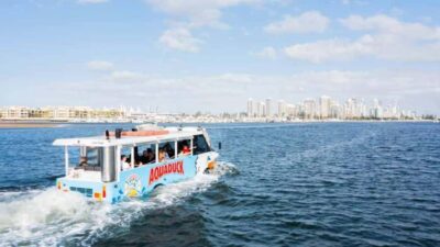 1-Hour Land and Water Duck Tour