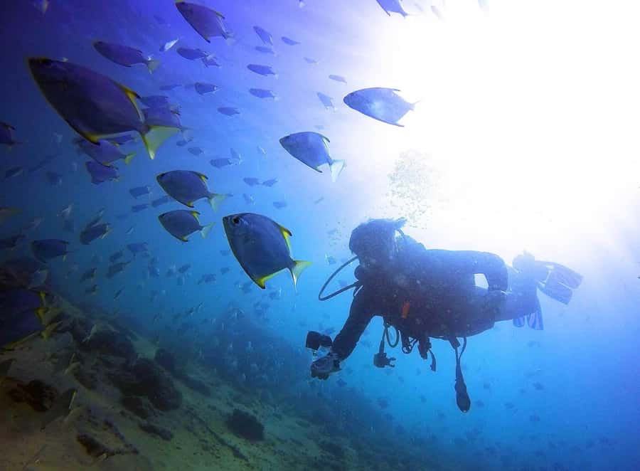 Gold Coast: 3-Day PADI Open Water Course - Gear, boats, and what you must pack