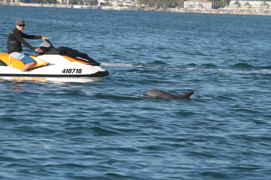 Gold Coast: 30 min Jet Ski Hire - No Slow Zones - Where you meet at the marina, and what to bring so you are not scrambling