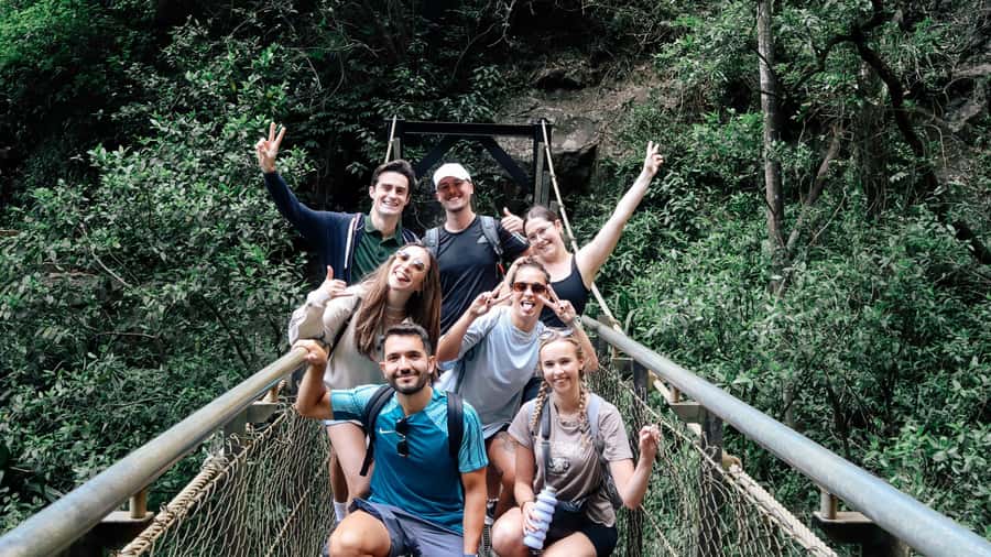 Gold Coast: 6 Waterfalls, Koalas & Natural Bridge Day Tour - Key highlights you will actually feel
