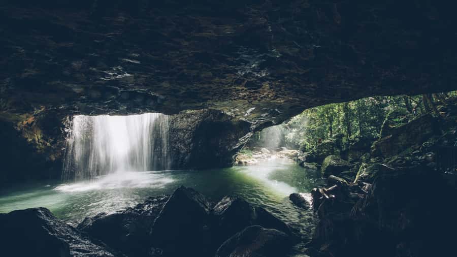 Gold Coast: 6 Waterfalls, Koalas & Natural Bridge Day Tour - The route that makes Springbrook feel doable from the Gold Coast