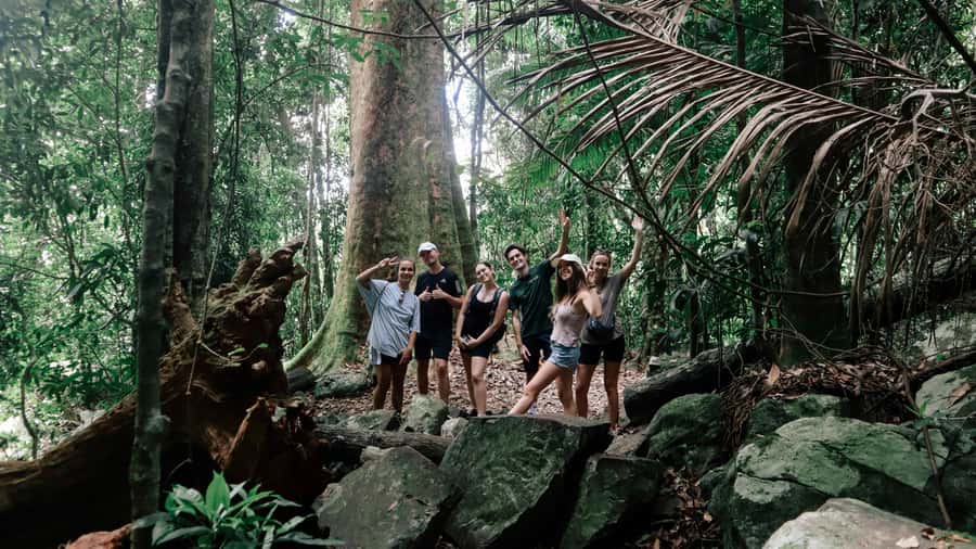 Gold Coast: 6 Waterfalls, Koalas & Natural Bridge Day Tour - Purling Brook and Canyon Lookout: easy trails, big reward views
