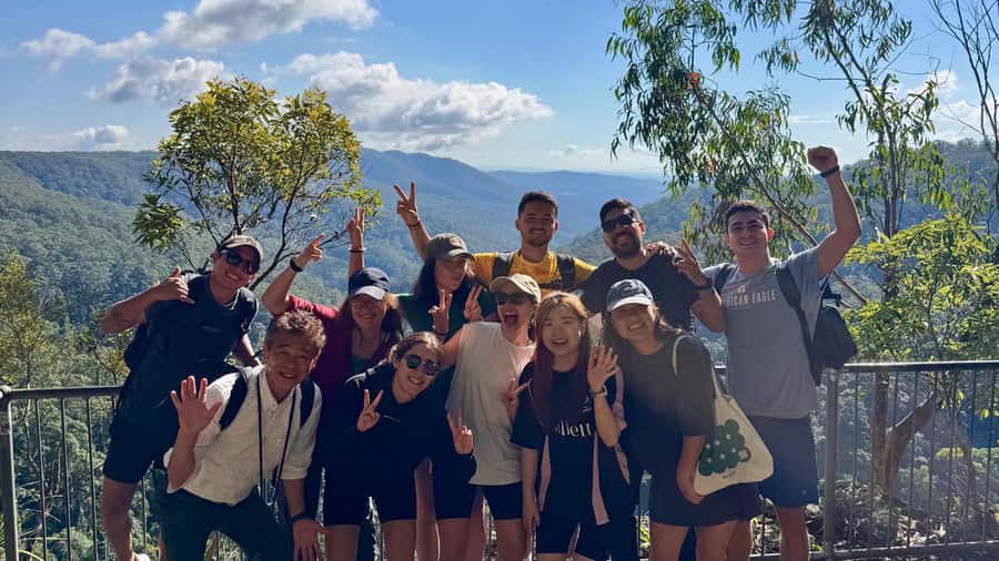 Gold Coast: 6 Waterfalls, Koalas & Natural Bridge Day Tour - Twin Falls Circuit: Rainbow Falls and Tamarramai Falls at a comfortable pace
