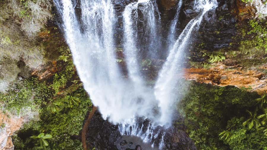 Gold Coast: 6 Waterfalls, Koalas & Natural Bridge Day Tour - Coombabah Lake: your best shot at koalas and kangaroos early