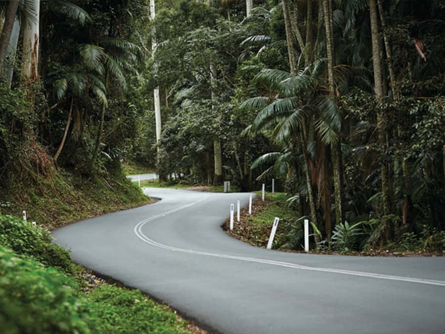 Gold Coast: Daytime Glow Worm Caves and Hop-on Hop-off Tour - Making the most of your time: shopping stop and how to eat well