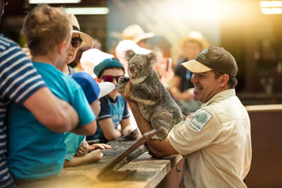 Gold Coast: Dreamworld 1-Day Entry Ticket - Ticket Value: What $61 Buys (and What It Does Not)