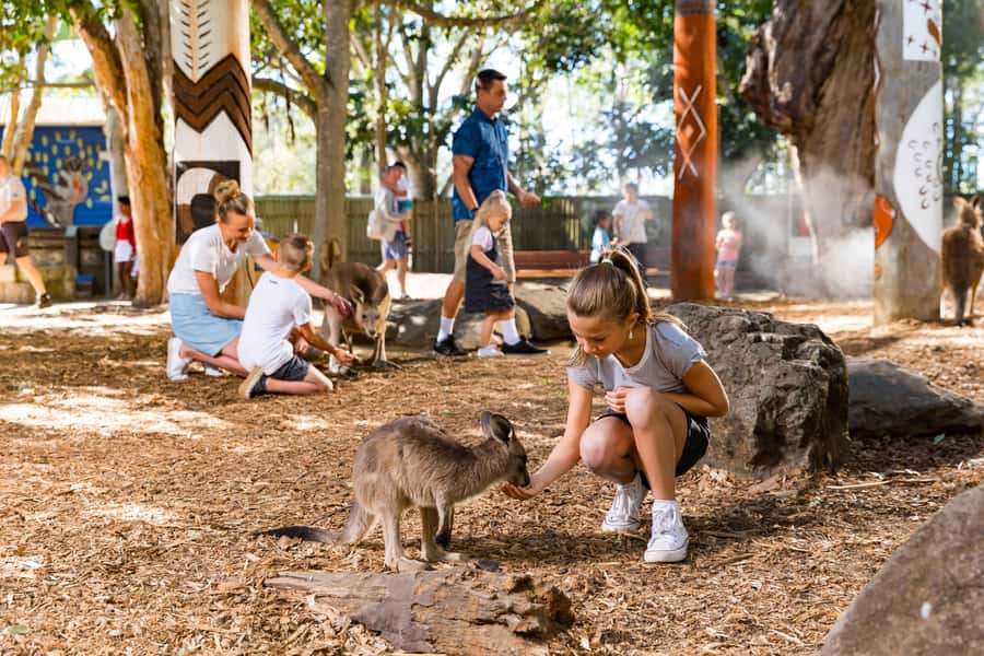 Gold Coast: Dreamworld & SkyPoint 2-Day Ticket - Dreamworld thrill rides, Steel Taipan, Giant Drop, and Gold Coaster