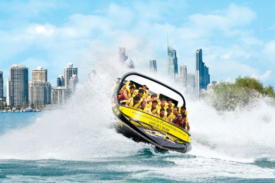 Gold Coast: Extreme Jet Boat Blast Ride - Wildlife Spotting With Marine Park Access: What To Look For