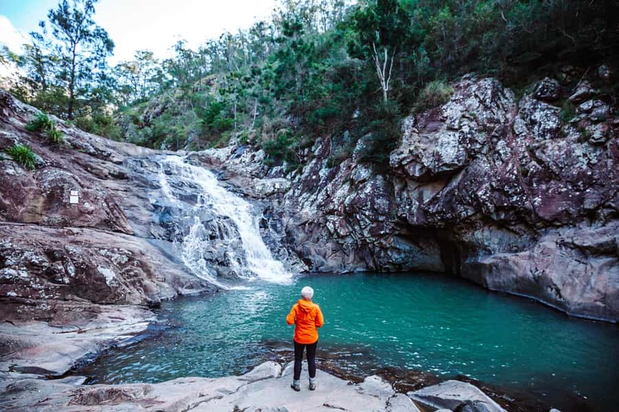 Gold Coast: Hop on Hop off Bus to Tamborine Mountain - The Driver Factor: Names You Might Hear and Why It Matters